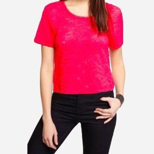 🌸New🌸 Moda International Hot Pink Lace Top Sz S